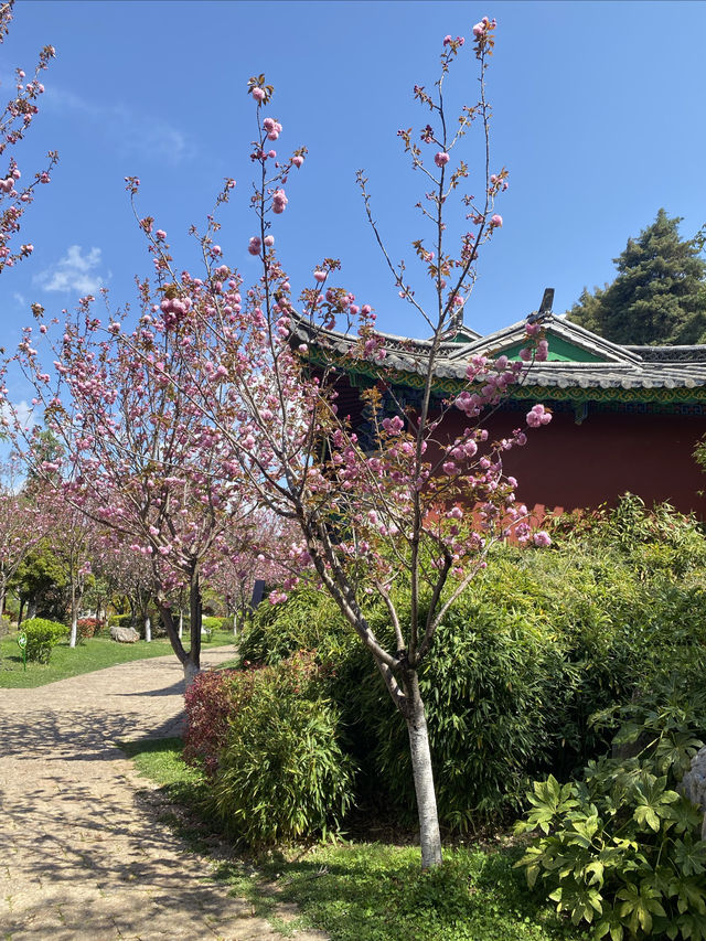 美爆了 丽江黑龙潭公園