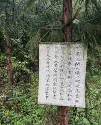 成都｜四月千萬別來中壩森林公園不然你會…