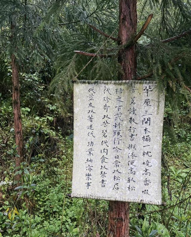 成都｜四月千萬別來中壩森林公園不然你會…