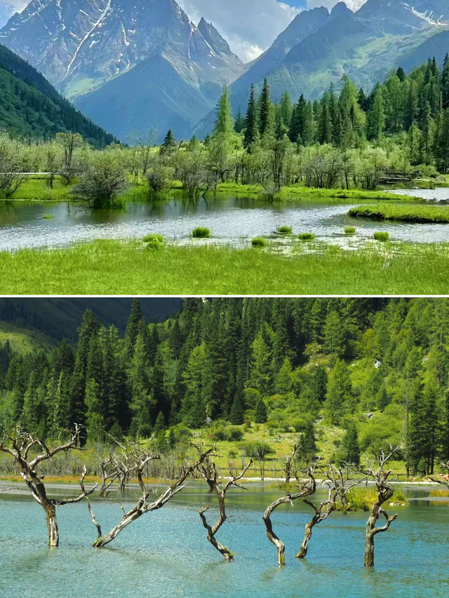 五一去剛好！川西輕奢慢旅行，美景不輸瑞士