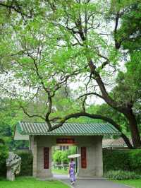 太驚豔啦！廣州這絕美古風園林被我發現了