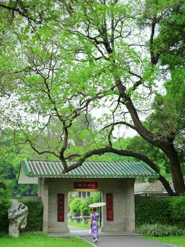 So stunning! I've discovered this incredibly beautiful ancient-style garden in Guangzhou