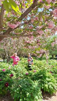 北京園博園盛春時節