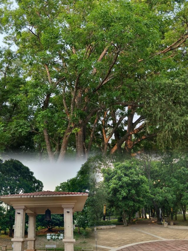 徐聞人民公園最全攻略 徐聞人民公園最全攻略