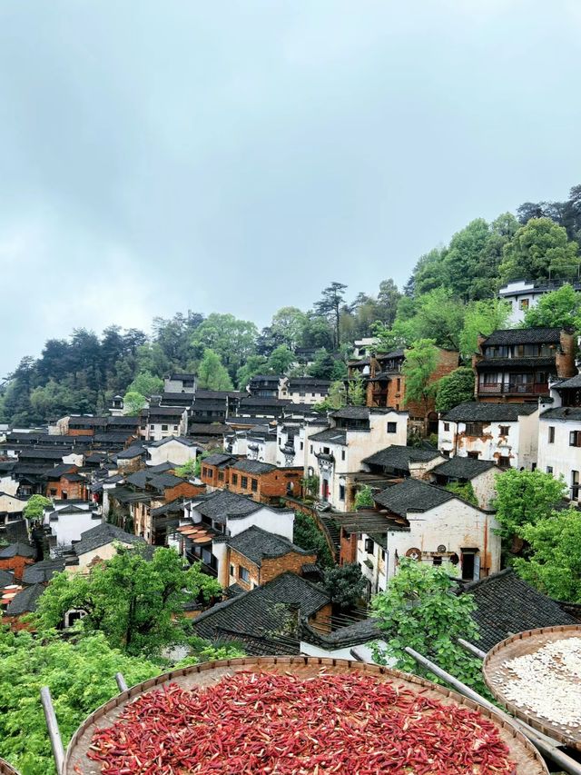 四月份的篁嶺景區