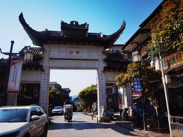 貴州百里杜鵑-大方縣一日遊
