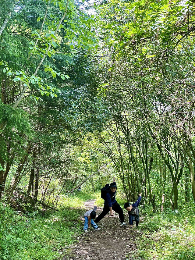 成都1h，穿越森林之門感受春和景明