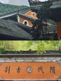 天台山之旅：交通、住宿與完美行程全攻略