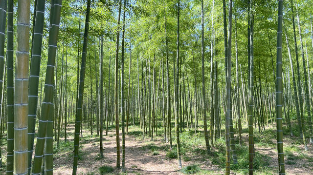 川步村，徒步旅行必打卡地