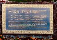 紹興會稽山大禹陵（一）