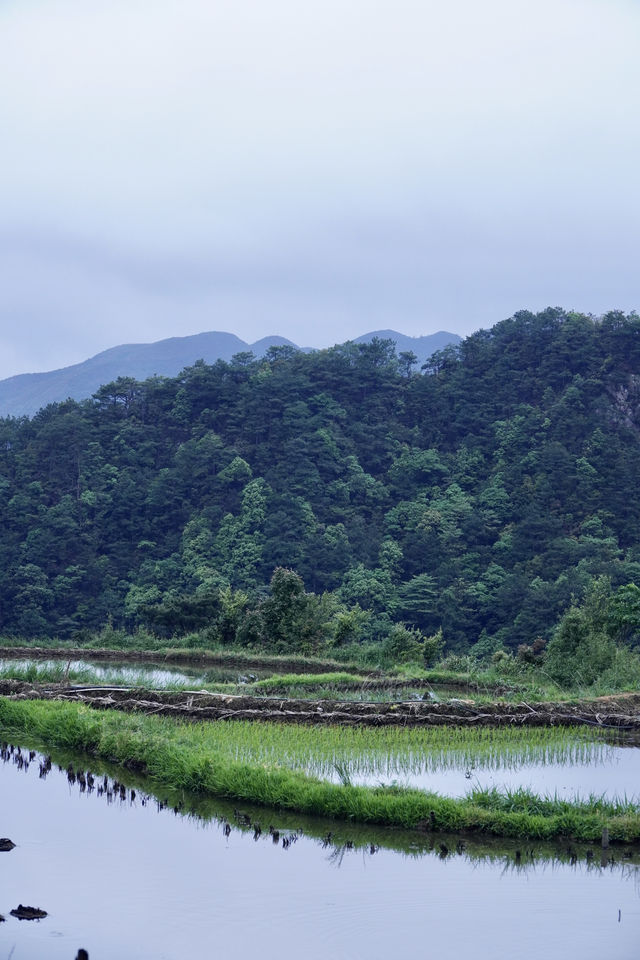 柳州融水 | 3H可達，找個週末去山裡放空