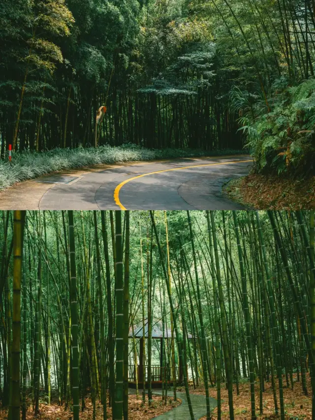 อุทยานป่าดิบชื้น