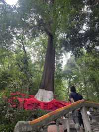 成都仙家重地！見到這隻鶴才算真正去過成都鶴鳴山