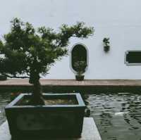春天打卡東莞可園