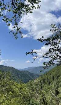 露營佳地“天華山”