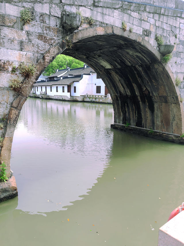 上海松江 | 西林禅寺徒步，遇見不一樣的風景