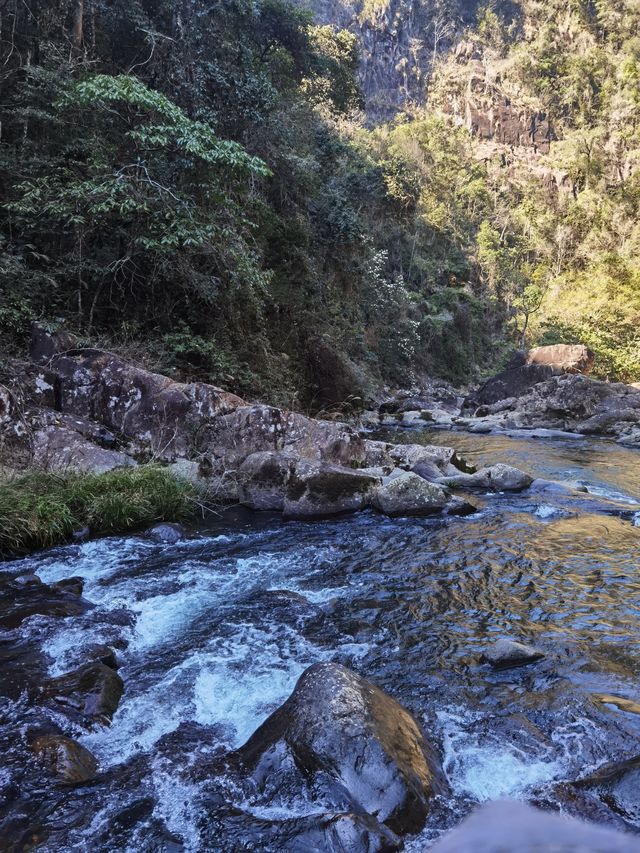 龍棲山