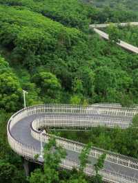 龍泉山城市森林公園徒步攻略