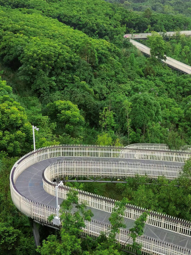 龍泉山城市森林公園徒步攻略