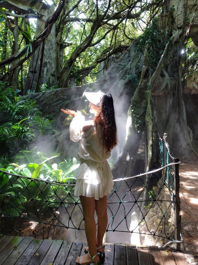 深圳探秘 | 有丁达尔效应的热带雨林