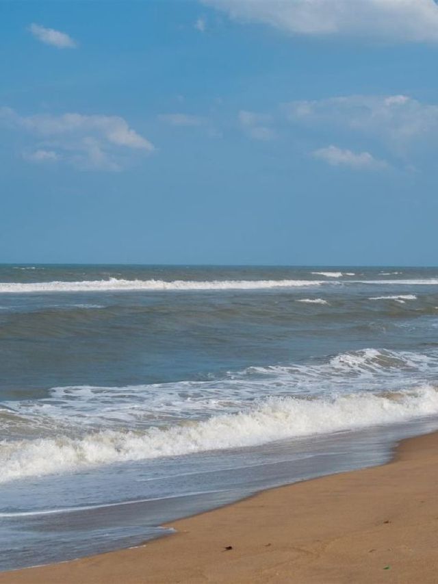 🌟 Chennai Charm: Luxe Stays at Taj Coromandel 🌟