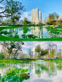 成都“莫奈花園”