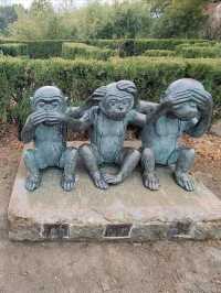 放鬆仙境——大陽山國家森林公園