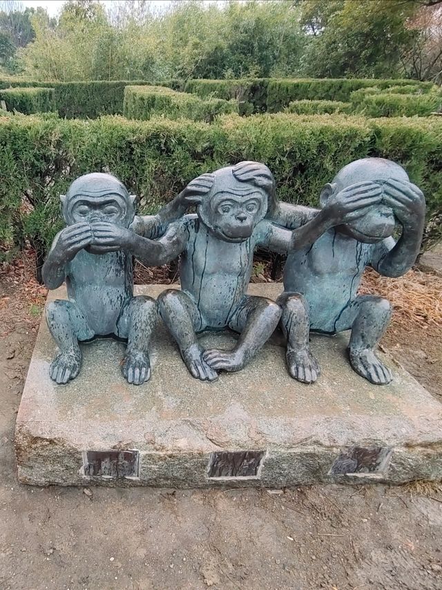 放鬆仙境——大陽山國家森林公園