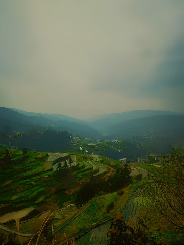 貴州行——堂安梯田