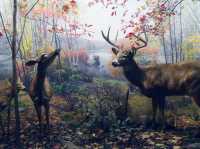 American Museum of Natural History: Pop, Art, Stunning Shots