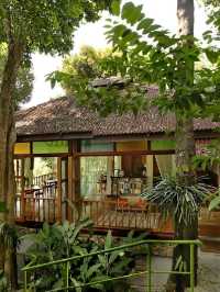 🌴 Langkawi's Lush Hideaway: Ambong Rainforest Retreat 🌟