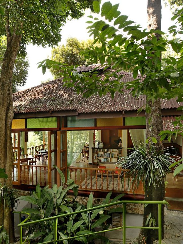 🌴 Langkawi's Lush Hideaway: Ambong Rainforest Retreat 🌟