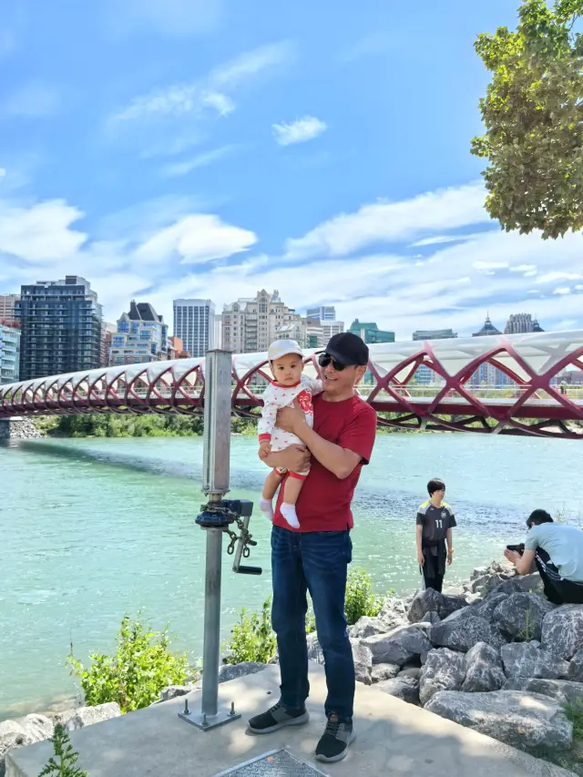 Peace Bridge: Is it elegant and charming, a miracle of bridge engineering? Or is it flashy and impractical?