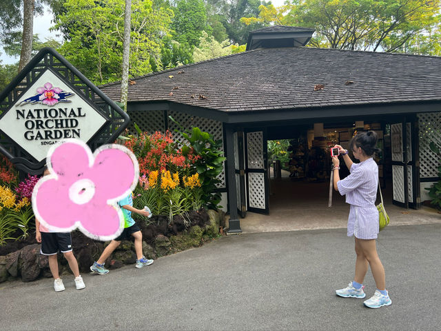 新加坡遊玩攻略——DAY 4 植物園、國立大學