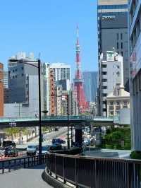 🇯🇵｜東京5日精華版攻略！附美食+路線🗼