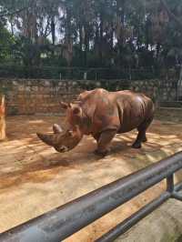 昆明圓通山動物園