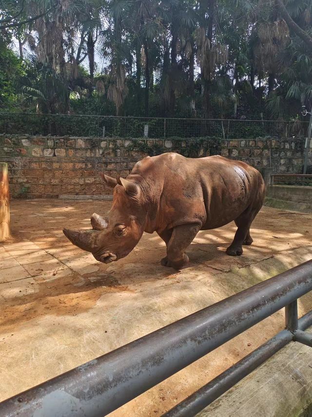 昆明圓通山動物園