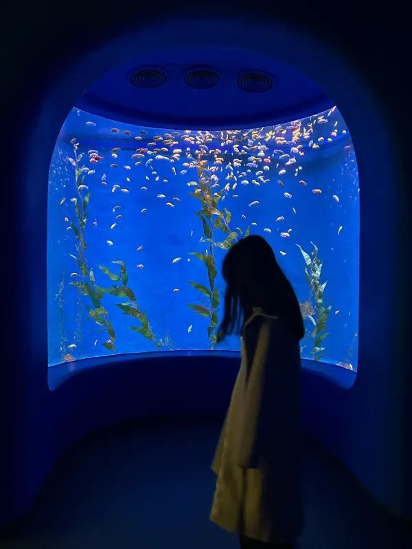 深圳南山區海洋奇夢館 🌊🐋