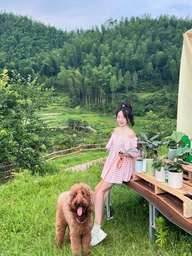 每週一露 | 夏夜微風中的小眾私藏露營地點。