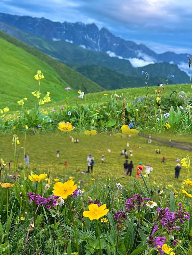 不用遠赴阿勒泰,就來九頂山吧。