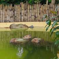 Aquarium in Zhuhai China