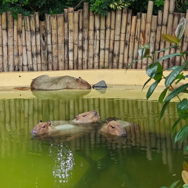 Aquarium in Zhuhai China