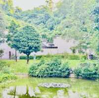 深圳園博園一日遊