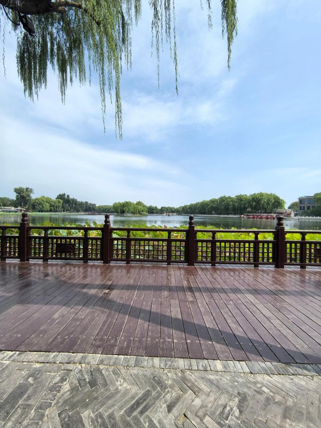 北京什刹海｜北國水鄉畫卷。