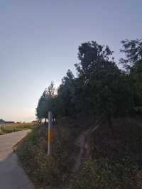 三原行｜陝西關中十八唐帝陵首座之獻陵。