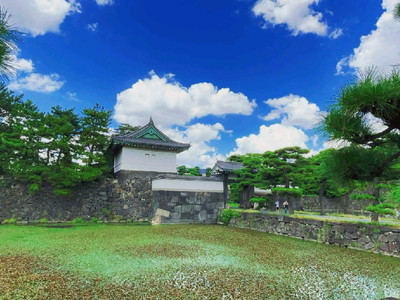 皇居　四季 久し振りに皇居・東御苑を訪問②二の丸庭園～諏訪の茶屋まで