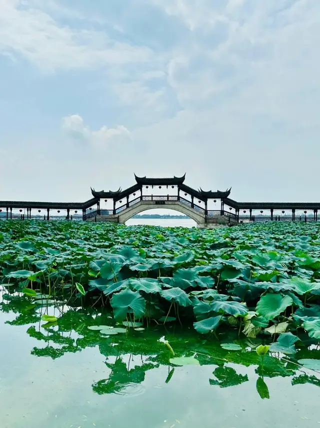 금계 고진의 옛 운치｜쑤저우.