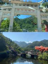出去玩的姊妹注意啦，小心穿進童話世界。
