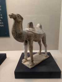 安陽博物館可愛的展品。