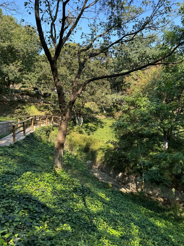 帶孩子在植物園裏撿「垃圾」。